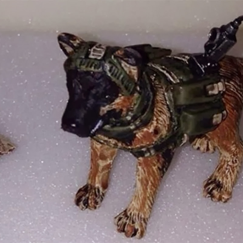 Call of Dutys Hund erhält die Actionfigur, die er verdient