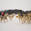 farsang_homorod-3076.jpg