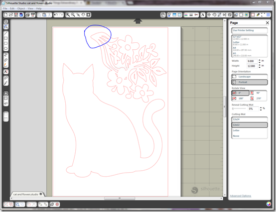 cat and flower