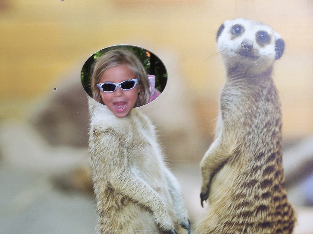 [100_3811%255B3%255D.jpg]