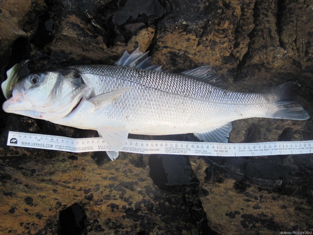 [IMG_1324a%255B8%255D.jpg]