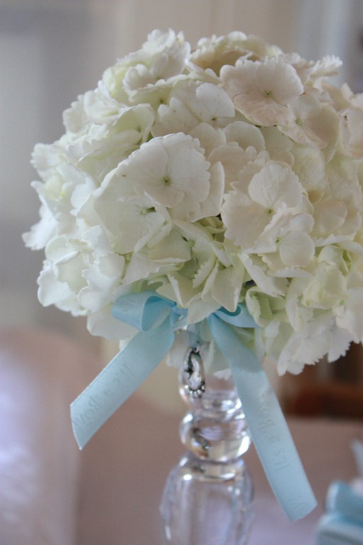 [IMG_2494%255B5%255D.jpg]