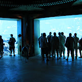 IMG_4763.JPG
