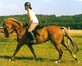 Amiga och Jenny Håkansson på träningsläger 1997 Amiga och Jenny Håkansson på träningsläger 1997