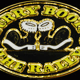 FURRYBOOTS2008