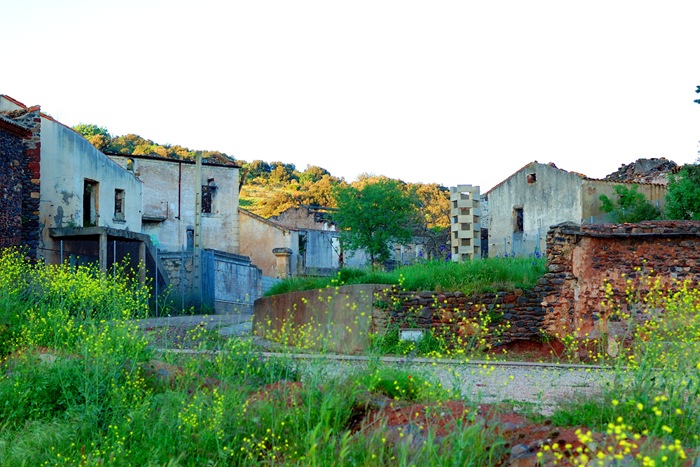 celles