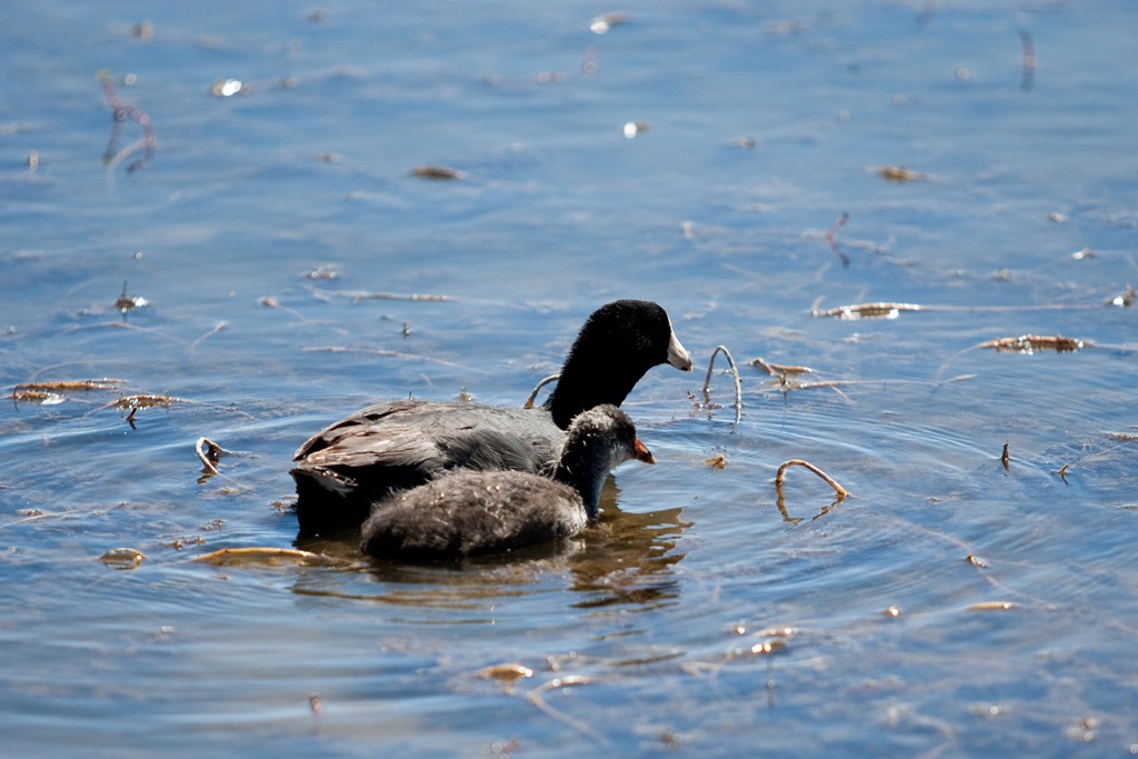 [20130625-IMG_24324.jpg]