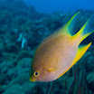 DSC_8571a.jpg