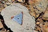 DSC_0225.JPG