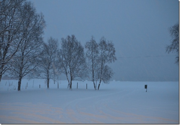 DSC_3148 DSC_3148