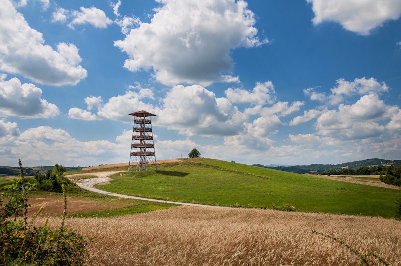 Wieża widokowa w Bruśniku DSC_2264.jpg