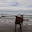 DSC_0182.jpg