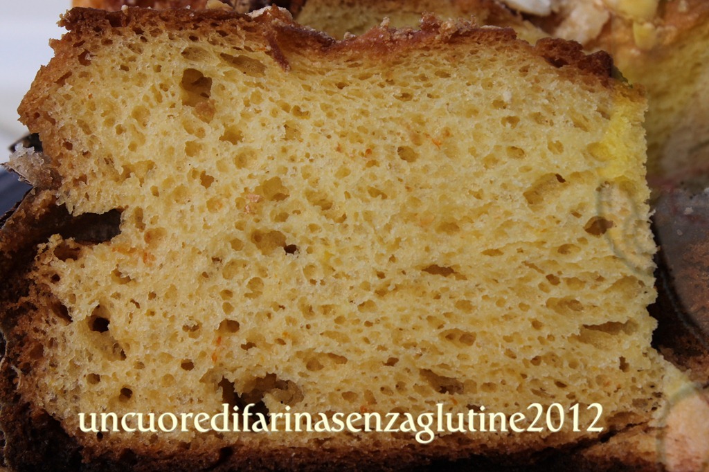 [colomba%2520a%2520biga%25206%255B3%255D.jpg]