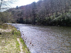IMG00045-20100412-1040.jpg