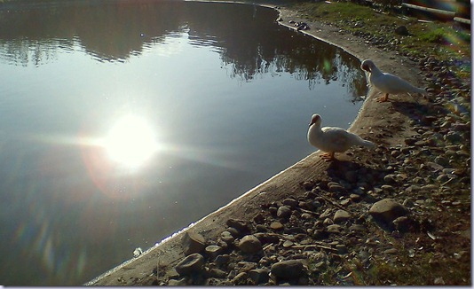 DSC00032 DSC00032
