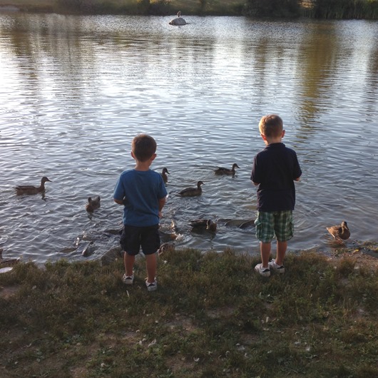 [IMG_0303%255B8%255D.jpg]