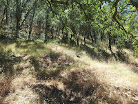 20120630_142909.jpg Photo 20120630_142909.jpg Photo