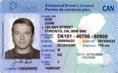 Drivers License