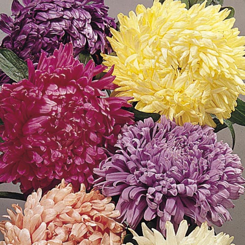 [image%255B94%255D.png]