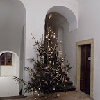 DSCN0553.JPG
