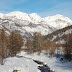 DSC_0121.jpg