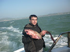 Image223.jpg