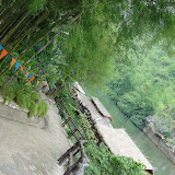 DSC05146.JPG