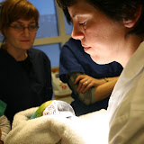 In February and March of 2008, Dr. Rolfe gave two days of lectures and two days of procedure demonstrations to veterinarians in Iceland interested in learning more about birds. And had a day or two of sightseeing. Lectures Given in Iceland
