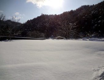DSC03773 DSC03773