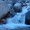 DSC_0949.JPG