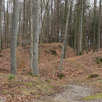 singold-bote_waldlehrpfad-schwabegg_044.jpg