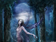 Silent Faery Of Life
