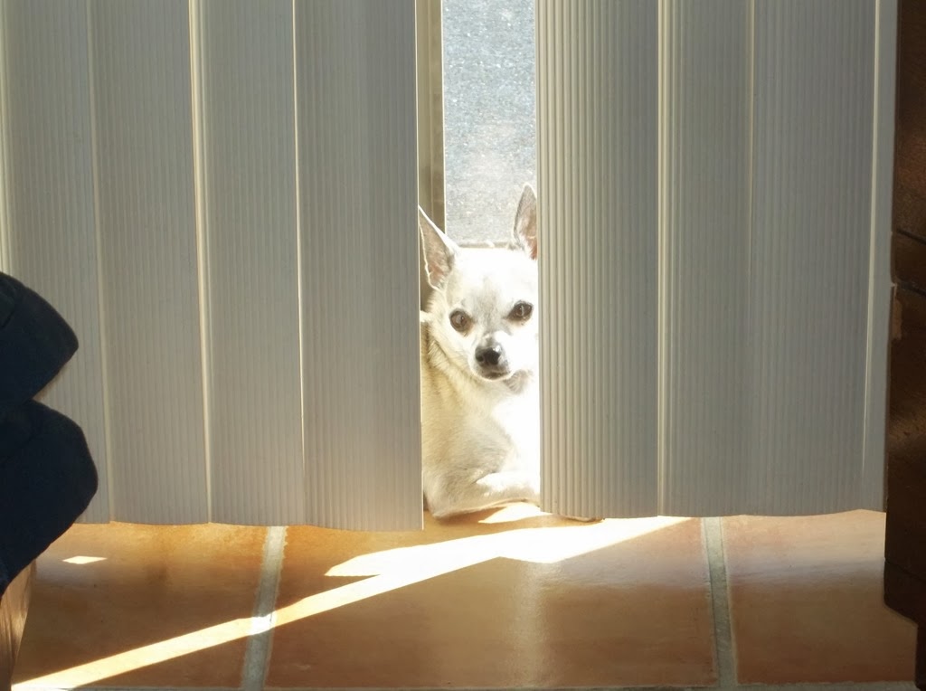 [100_0548%255B4%255D.jpg]