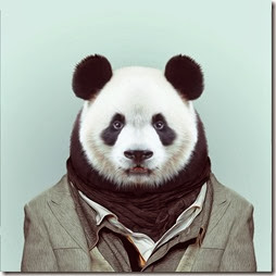 panda panda