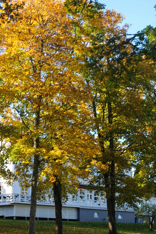 [IMG_6589%255B6%255D.jpg]