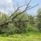 IMG_3477.JPG