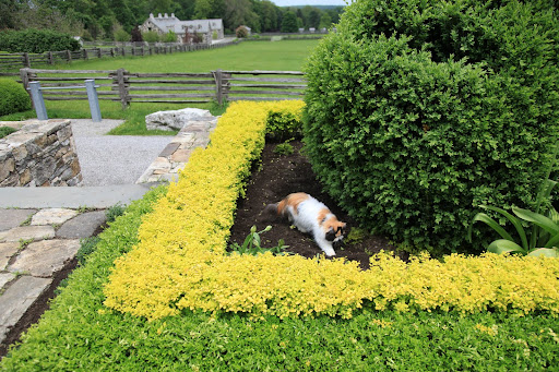 On second thought, there's very little room under there!