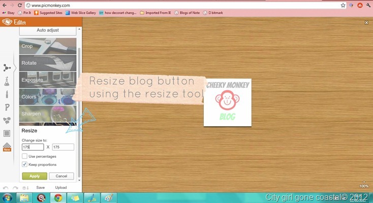 resizing a blog button