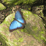 IMG_0656.JPG