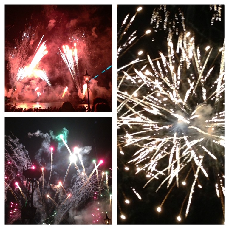 [DSSMEpcotFireworks3.jpg]