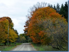 IMG_3869 IMG_3869