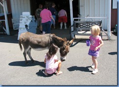 3027 Pennsylvania - Gettysburg, PA - Land of Little Horses