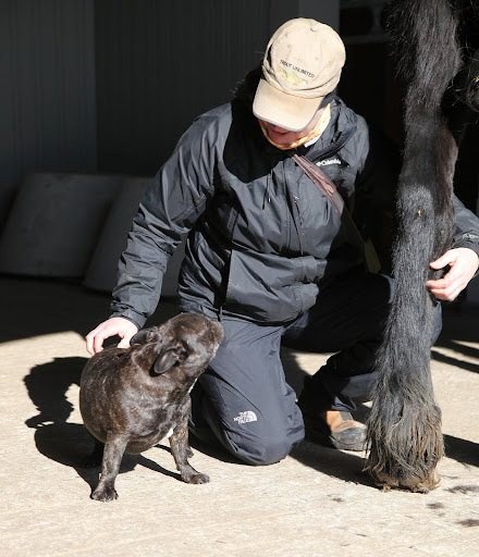 Hey there, Betsy!  It looks like you're massaging Rinze's back legs.  I could use a little massage, too!