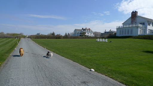 I'm glad we're out of the car, girls!  Thanks for taking me with you.  These houses sure are beautiful!