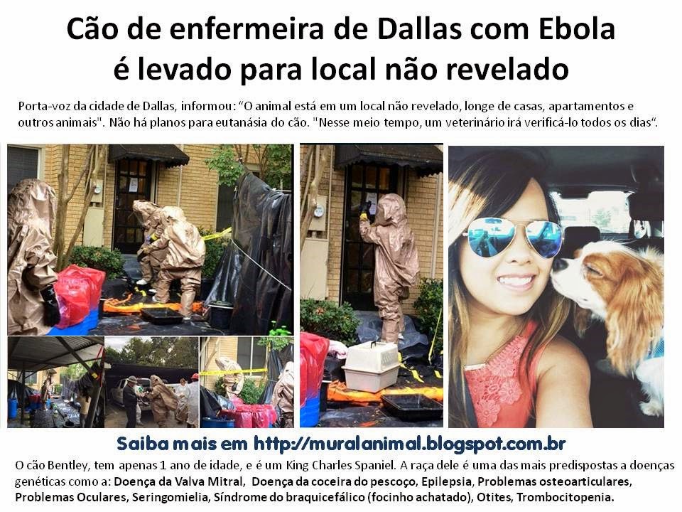 [C%25C3%25A3o%2520de%2520enfermeira%2520de%2520Dallas%2520com%2520Ebola1%255B3%255D.jpg]