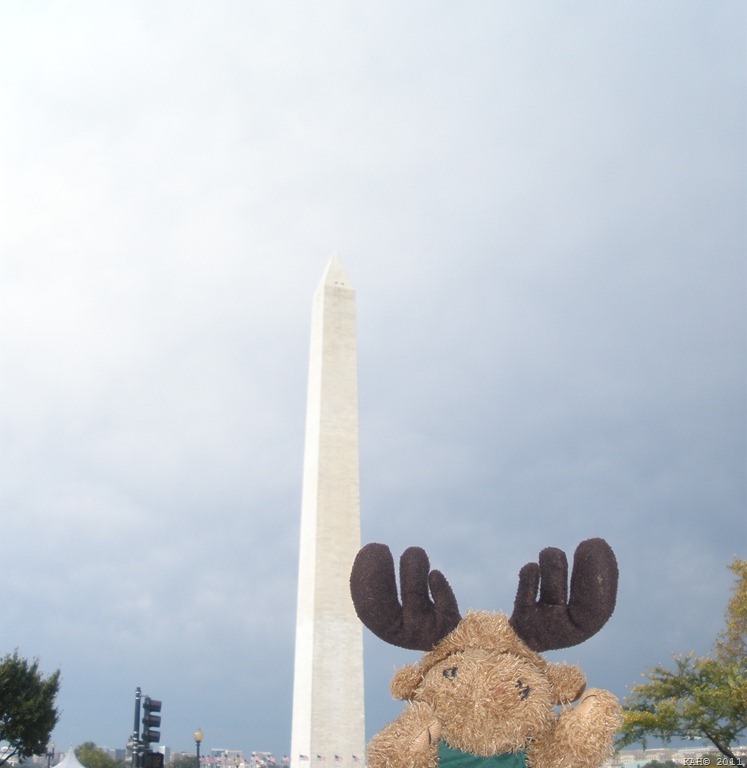 [Moosey-Moose-at-Washington-Monument8.jpg]