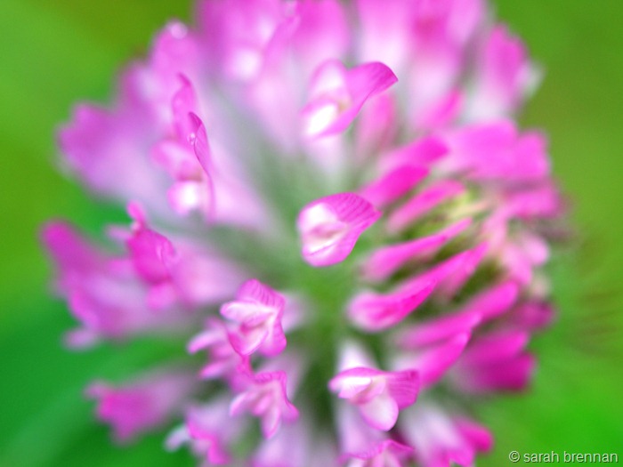 [DSC_0236%2520%25282%2529%255B9%255D.jpg]