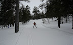 IMG_2333