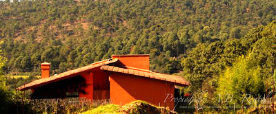 casa-bosque.jpg casa-bosque.jpg