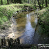 rz. Gryżynka dsc06292.jpg